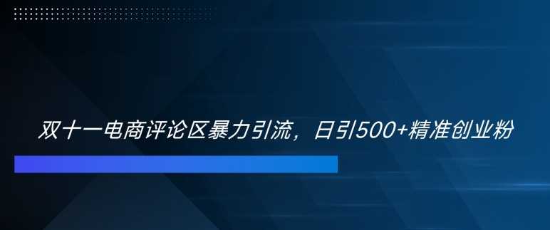 双十一电商评论区暴力引流，日引500+精准创业粉【揭秘】-启航188资源站