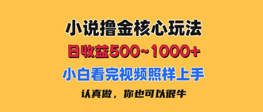 小说撸金核心玩法，日收益500-1000+，小白看完照样上手，0成本有手就行-启航188资源站