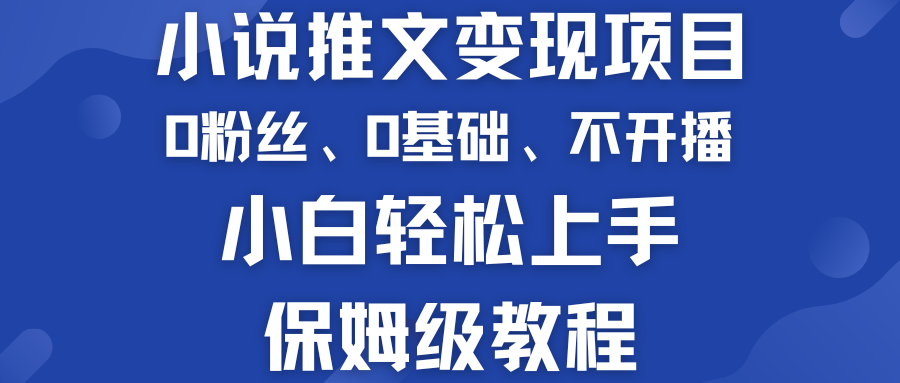 小说推文变现项目 0基础 不开播 小白轻松上手 保姆级教程-启航188资源站