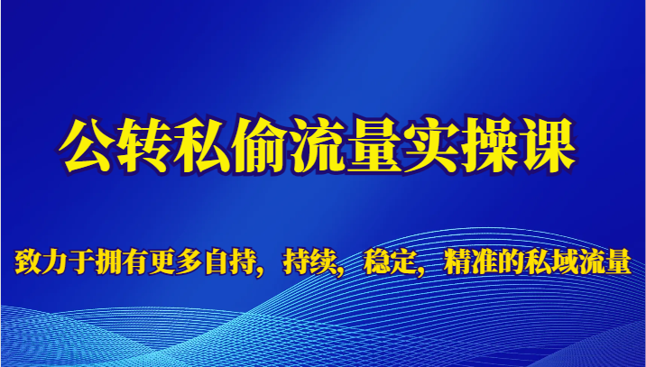 公转私偷流量实操课，致力于拥有更多自持，持续，稳定，精准的私域流量-启航188资源站