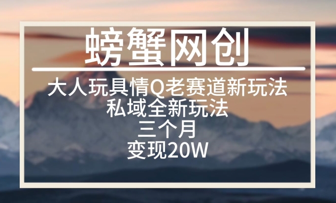 大人玩具情Q用品赛道私域全新玩法，三个月变现20W，老项目新思路-启航188资源站