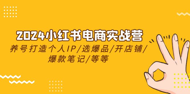 （10376期）2024小红书电商实战营，养号打造IP/选爆品/开店铺/爆款笔记/等等（24节）-启航188资源站