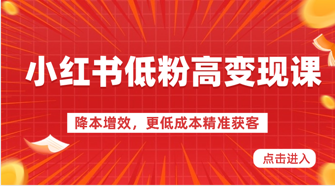 小红书低粉高变现课-降本增效，更低成本精准获客，小红书必爆的流量密码-启航188资源站