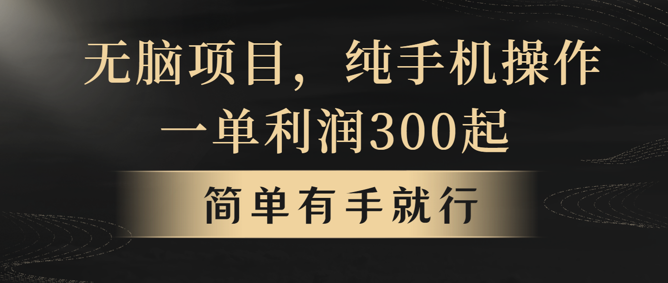 （10589期）无脑项目，一单几百块，轻松月入5w+，看完就能直接操作-启航188资源站