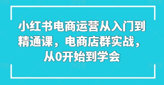 小红书电商运营从入门到精通课，电商店群实战，从0开始到学会-启航188资源站