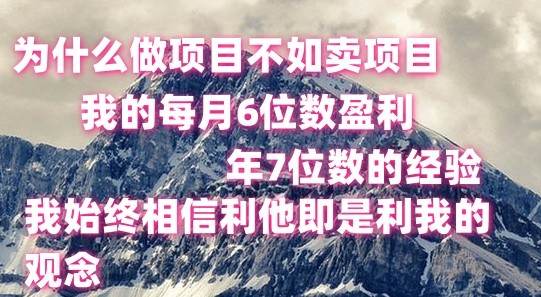 做项目不如卖项目，每月6位数盈利，年7位数经验-启航188资源站