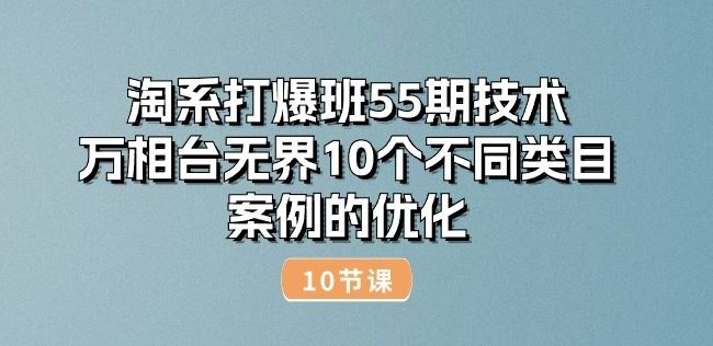 淘系打爆班55期技术：万相台无界10个不同类目案例的优化(10节)-启航188资源站