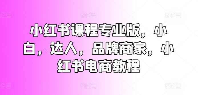 小红书课程专业版，小白，达人，品牌商家，小红书电商教程-启航188资源站