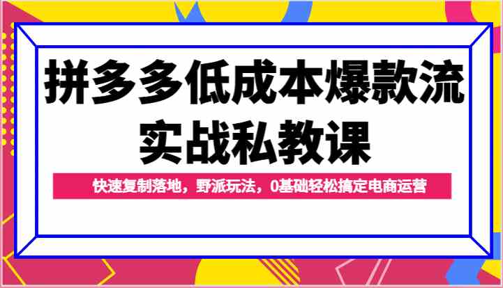 拼多多低成本爆款流实战私教课，快速复制落地，野派玩法，0基础轻松搞定电商运营-启航188资源站