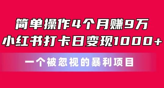 简单操作4个月赚9w，小红书打卡日变现1k，一个被忽视的暴力项目【揭秘】-启航188资源站