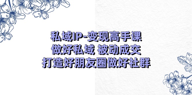 私域IP变现高手课：做好私域被动成交，打造好朋友圈做好社群（18节）-启航188资源站