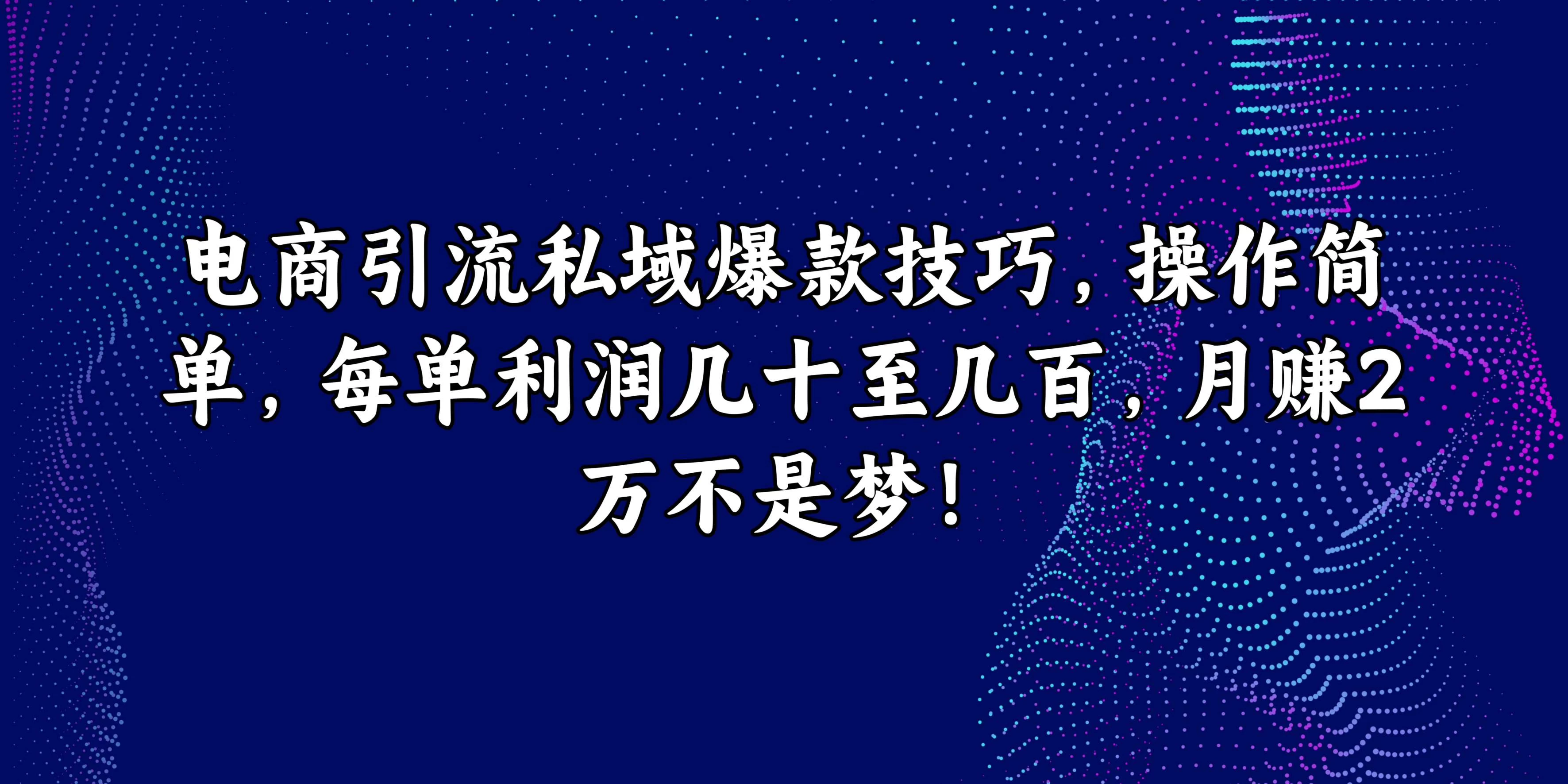 电商引流私域爆款技巧，操作简单，每单利润几十至几百，月赚2万不是梦！-启航188资源站