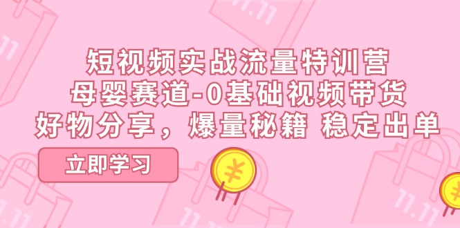 （11373期）短视频实战流量特训营，母婴赛道-0基础带货，好物分享，爆量秘籍 稳定出单-启航188资源站