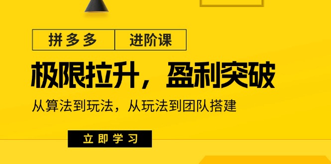 （11435期）拼多多·进阶课：极限拉升/盈利突破：从算法到玩法 从玩法到团队搭建-18节-启航188资源站