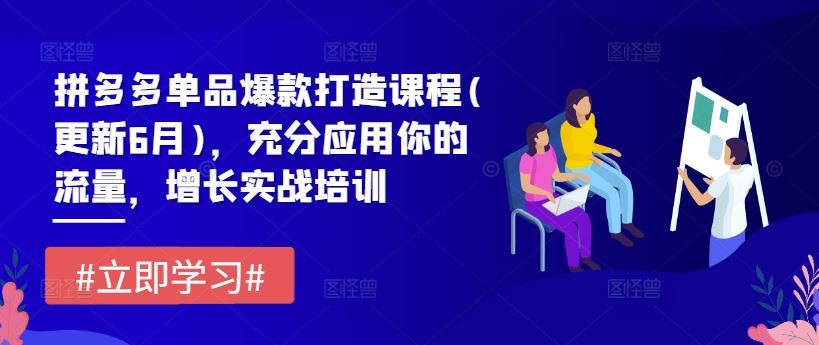 拼多多单品爆款打造课程(更新6月)，充分应用你的流量，增长实战培训-启航188资源站