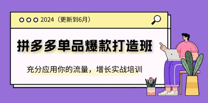 （11556期）2024拼多多-单品爆款打造班(更新6月)，充分应用你的流量，增长实战培训-启航188资源站