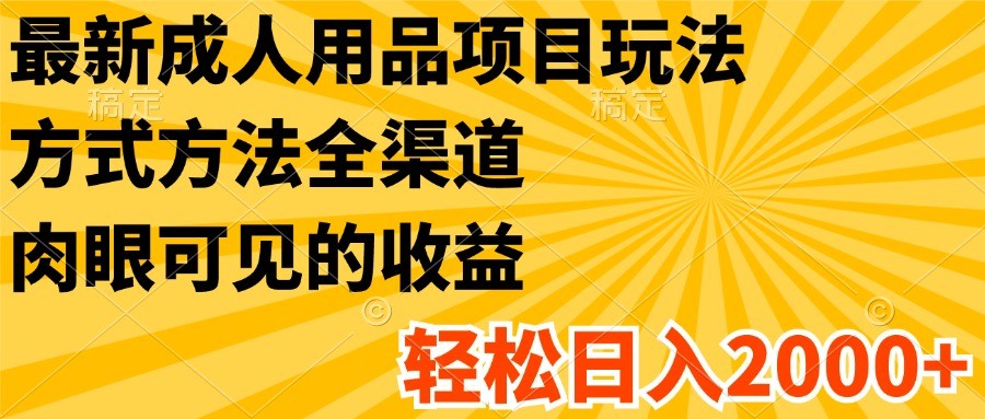 最新成人用品项目玩法，方式方法全渠道，肉眼可见的收益，轻松日入2000+-启航188资源站