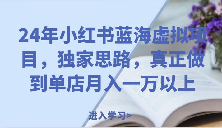 24年小红书蓝海虚拟项目，独家思路，真正做到单店月入一万以上。-启航188资源站