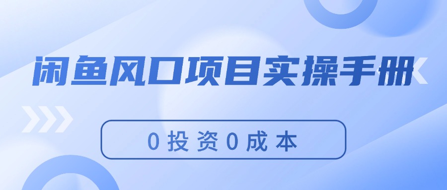 （11923期）闲鱼风口项目实操手册，0投资0成本，让你做到，月入过万，新手可做-启航188资源站