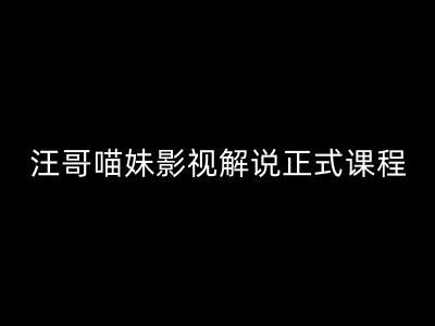 汪哥影视解说正式课程：剪映/PR教学/视解说剪辑5大黄金法则/全流程剪辑7把利器等等-启航188资源站