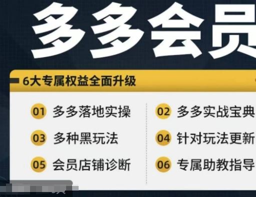 拼多多会员，拼多多实战宝典+实战落地实操，从新手到高阶内容全面覆盖-启航188资源站