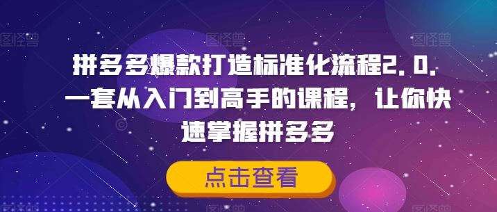 拼多多爆款打造标准化流程2.0，一套从入门到高手的课程，让你快速掌握拼多多-启航188资源站