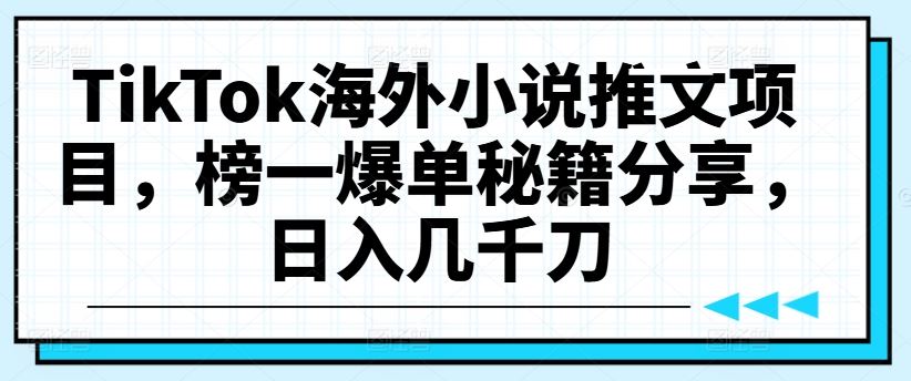 TikTok海外小说推文项目，榜一爆单秘籍分享，日入几千刀-启航188资源站