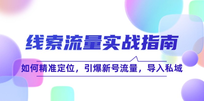 （12382期）线 索 流 量-实战指南：如何精准定位，引爆新号流量，导入私域-启航188资源站