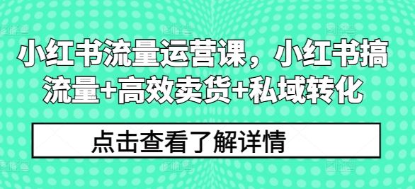 小红书流量运营课，小红书搞流量+高效卖货+私域转化-启航188资源站