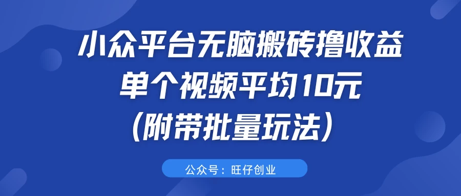 小众平台无脑搬砖撸收益，单个视频平均10元 (附带批量玩法）-启航188资源站