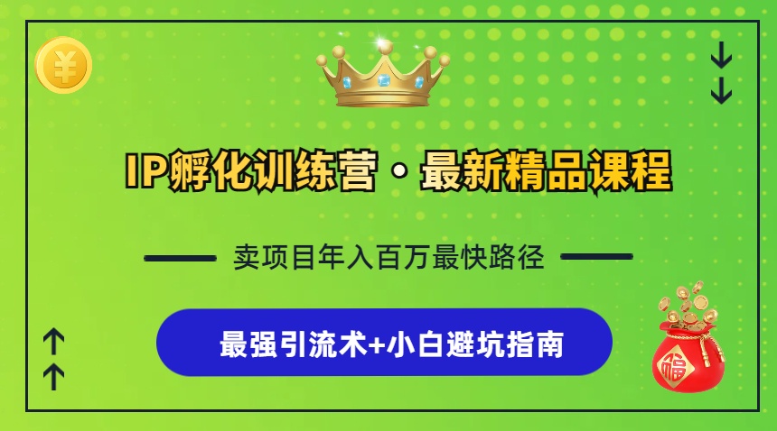 （13055期）IP孵化训练营，知识付费全流程+最强引流术+小白避坑指南-启航188资源站