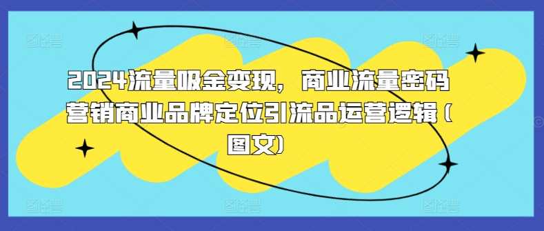 2024流量吸金变现，商业流量密码营销商业品牌定位引流品运营逻辑(图文)-启航188资源站