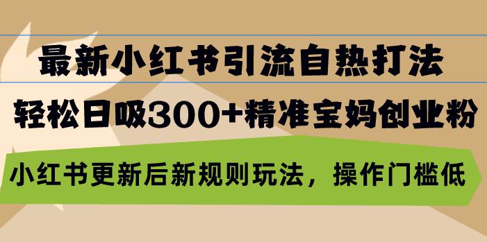 （13145期）最新小红书引流自热打法，轻松日吸300+精准宝妈创业粉，小红书更新后新…-启航188资源站