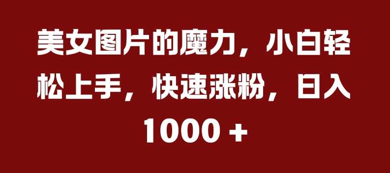 美女图片的魔力，小白轻松上手，快速涨粉，日入几张【揭秘】-启航188资源站