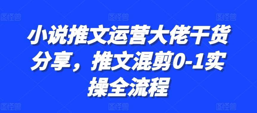 小说推文运营大佬干货分享，推文混剪0-1实操全流程-启航188资源站