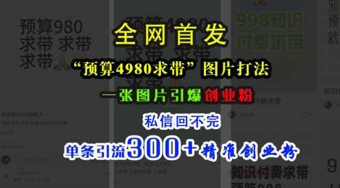 小红书“预算4980带我飞”图片打法，一张图片引爆创业粉，私信回不完，单条引流300+精准创业粉-启航188资源站