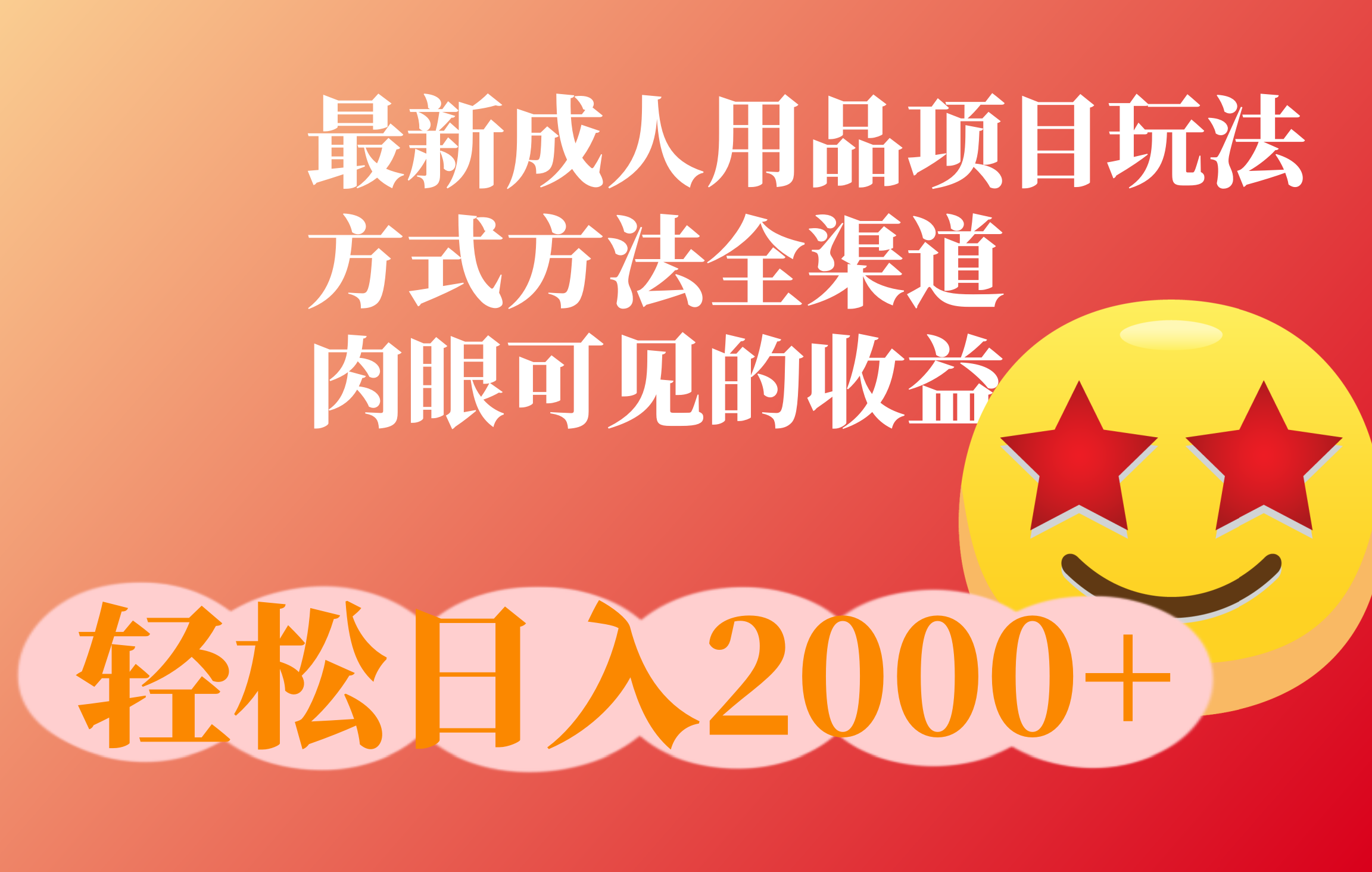 成人用品项目最新玩法，方式方法全渠道-启航188资源站