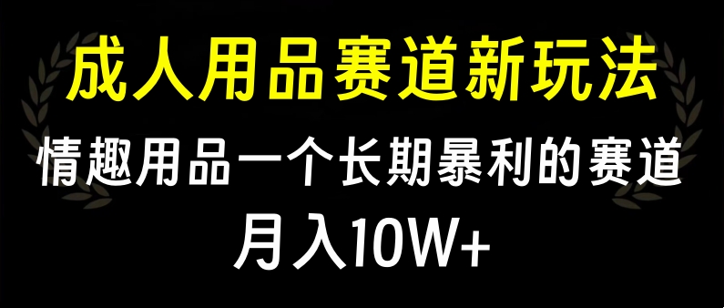 大人用品赛道新玩法，情趣用品一个长期暴利的赛道，月入10W+-启航188资源站