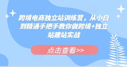 跨境电商独立站训练营，从小白到精通手把手教你做跨境+独立站建站实战-启航188资源站