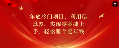 年底冷门项目，利用信息差，实现零基础上手，轻松赚个肥年钱【揭秘】-启航188资源站