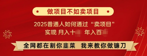 必看，做项目不如卖项目，2025普通人如何通过“卖项目”实现月入十个，年入百个-启航188资源站