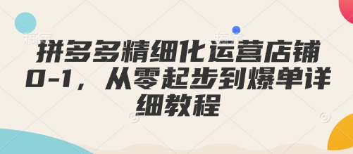 拼多多精细化运营店铺0-1，从零起步到爆单详细教程-启航188资源站