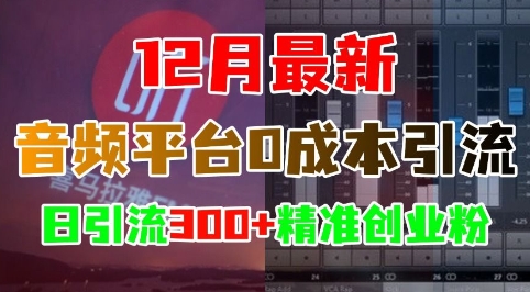 12月最新：音频平台0成本引流，日引流300+精准创业粉-启航188资源站