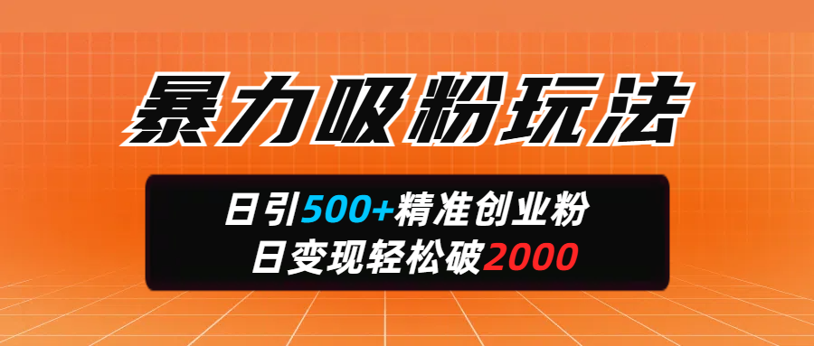 暴力吸粉玩法，日引500+精准创业粉，日变现轻松破2000-启航188资源站