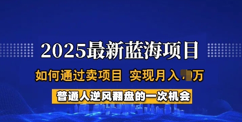 2025蓝海项目，普通人如何通过卖项目，实现月入过W，全过程【揭秘】-启航188资源站