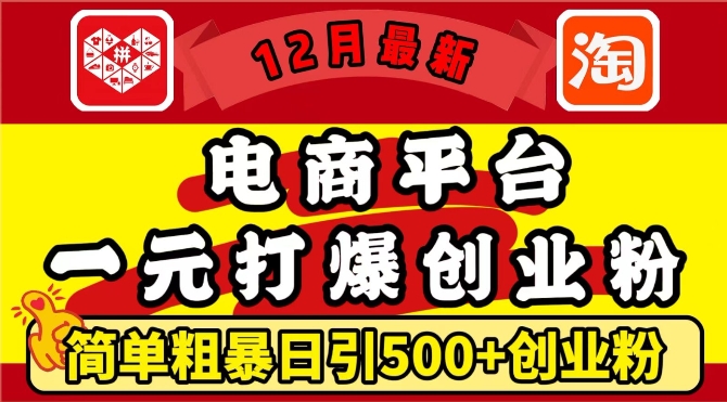 12月最新：电商平台1元打爆创业粉，简单粗暴日引500+精准创业粉，轻松月入过W【揭秘】-启航188资源站