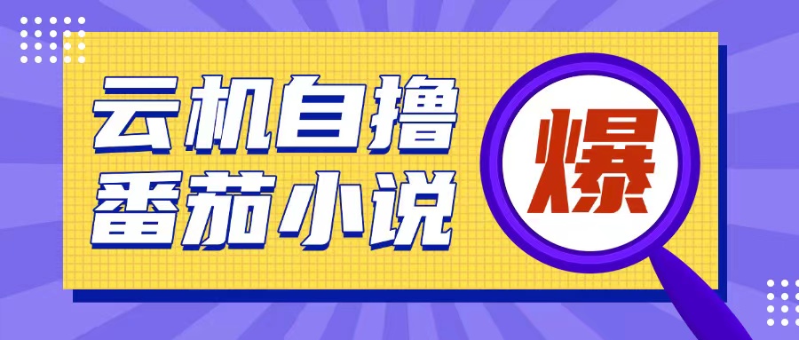 首发云手机自撸小说玩法，10块钱成本可撸200+收益操作简单【揭秘】-启航188资源站