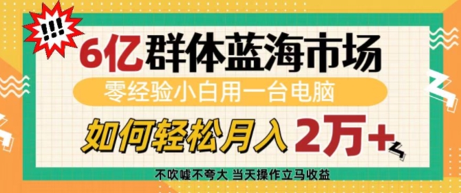 6亿群体蓝海市场，零经验小白用一台电脑，如何轻松月入过w【揭秘】-启航188资源站