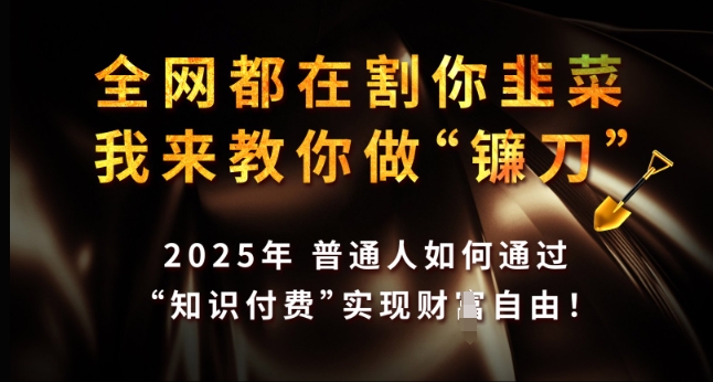 全网都在割你韭菜，我来教你做镰刀，2025年普通人如何通过 知识付费 实现财F自由【揭秘】-启航188资源站