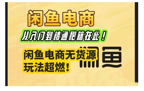 闲鱼电商实战课，从入门到精通秘籍在此，闲鱼电商无货源玩法超燃!-启航188资源站